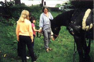 Jean and horses