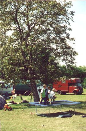 Trampoline